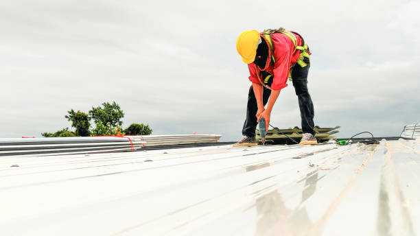 Best Storm Damage Roof Repair  in Csar Chvez, TX