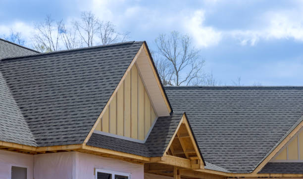 Best Emergency Roof Repair Services  in Csar Chvez, TX