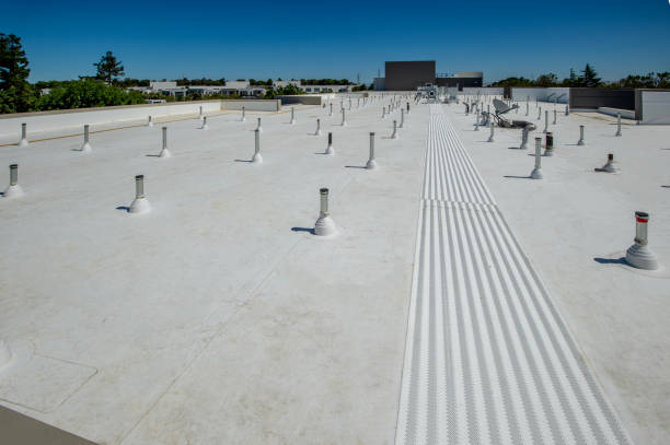 4 Ply Roofing in Csar Chvez, TX